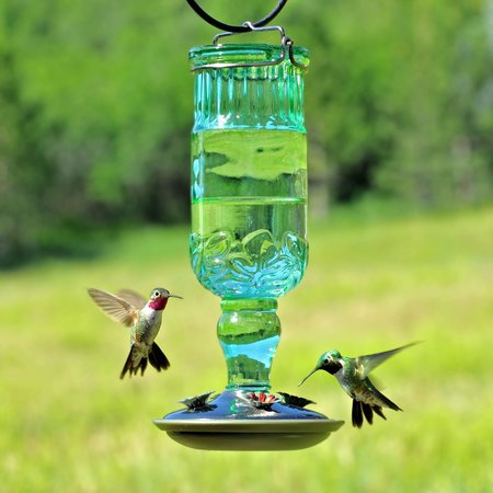 Perky-Pet Perky-Pet Hummingbird 24 oz Glass Nectar Feeder 4 ports 8120-2